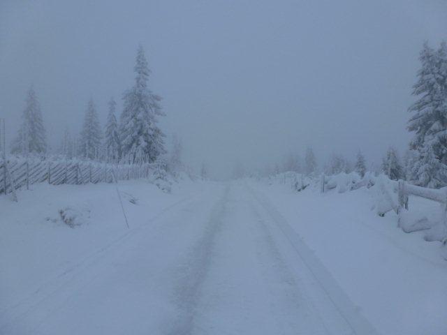 tl_files/Sjusjoen_grudzien2011_WC/niepelnosprawni-zawody-NOR-dec2011-swieto-64.jpg